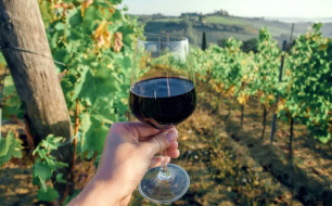 Super Toscan : histoire, cépages et secrets de ces vins italiens d’exception