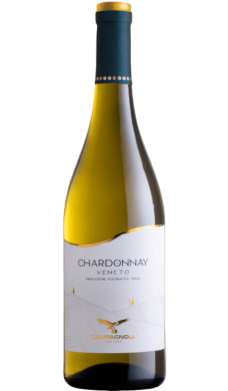 Chardonnay Veneto 2021 Chardonnay Veneto 2021