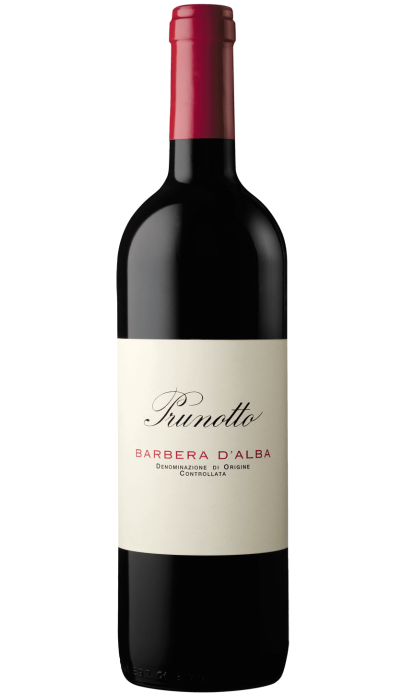 Barbera d'Alba 2023 - vin rouge italien (Piémont)