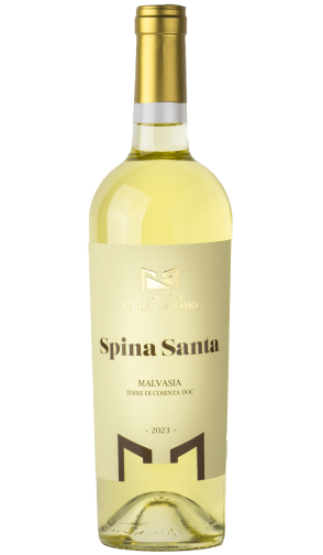 Spina Santa - vin blanc italien (Calabre)
