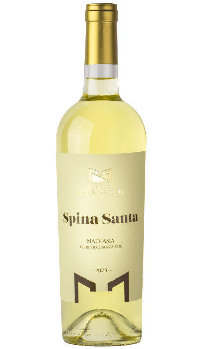 Spina Santa - vin blanc italien (Calabre)