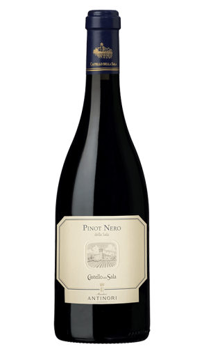 Pinot Nero della Salla - vin rouge italien (Ombrie)
