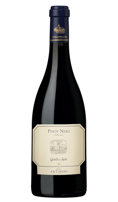 Pinot Nero della Salla - vin rouge italien (Ombrie)