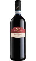 Bardolino Classico - vin rouge italien (Vénétie)