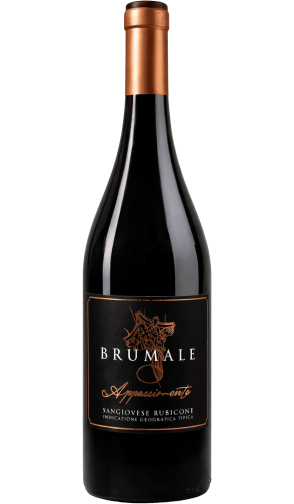 Brumale Appassimento - Italiaanse rode wijn (Emilia-Romagna)