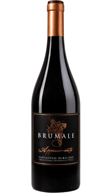 Brumale Appassimento - vin rouge italien (Emilie-Romagne)