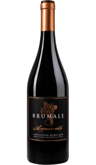 Brumale Appassimento - vin rouge italien (Emilie-Romagne)
