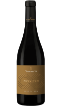 Nero di Troia Infinitum - vin rouge italien (Pouilles)
