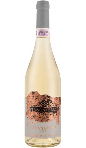 Fioroso Falanghina del Beneventano