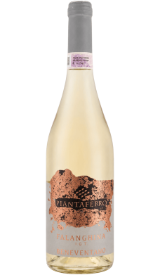 Piantaferro Falanghina del Beneventano - vin blanc italien (Campanie)