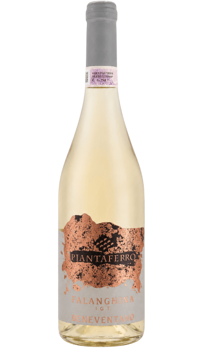 Fioroso Falanghina del Beneventano