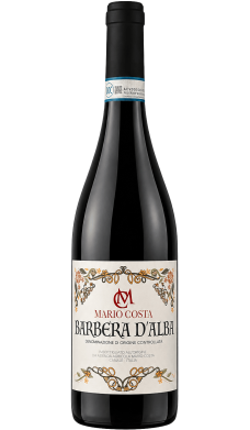 Barbera d'Alba - vin rouge italien (Piémont)