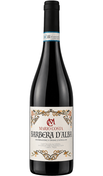 Barbera d'Alba - vin rouge italien (Piémont)