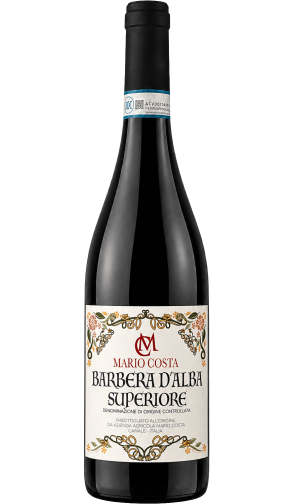 Barbera d'Alba Superiore – Italiaanse rode wijn (Piemonte)