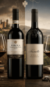 Barolo traditionnel vs Barolo moderne : deux visions d’un grand vin italien
