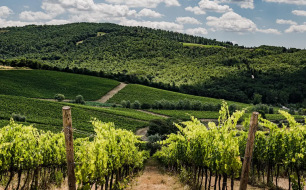 Chianti Classico: Classico, Riserva of Gran Selezione?