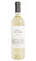 Villa Antinori Bianco 2021 - vin blanc italien (Toscane)