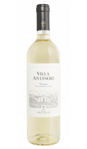 Villa Antinori Bianco 2024 - vin blanc italien (Toscane)