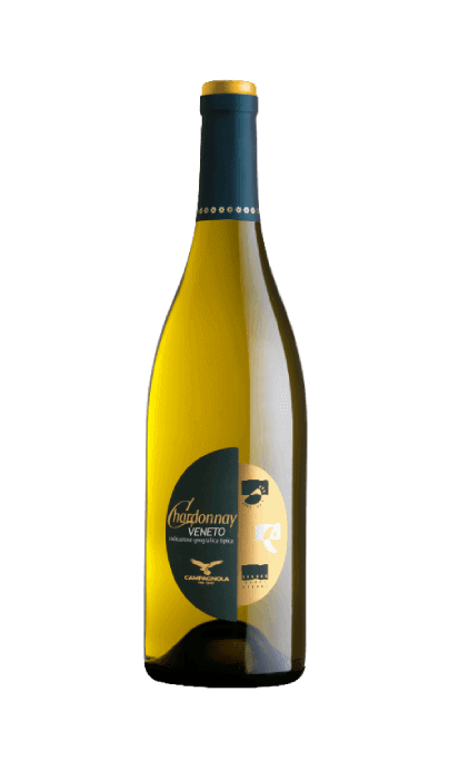 Chardonnay Veneto 2021