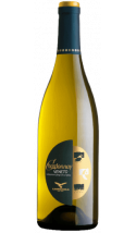 Chardonnay Veneto 2023 - Italiaanse witte wijn (Veneto)