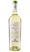 Cirò Bianco BIO 2021 - vin blanc italien (Calabre)
