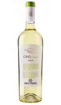 Cirò Bianco BIO 2024 - vin blanc italien (Calabre)