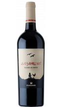 Bayamore Rosso 2021 - vin rouge italien (Sicile)