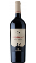 Bayamore Rosso 2022 - vin rouge italien (Sicile)