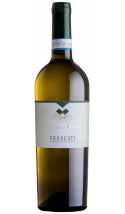 Frascati 2020 - vin blanc italien (Latium)