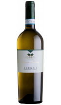 Frascati 2022 - vin blanc italien (Latium)