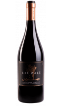 Brumale Appassimento 2021 - vin rouge italien (Emilie-Romagne)