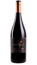 Brumale Appassimento 2022 - vin rouge italien (Emilie-Romagne)