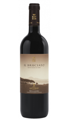 Bruciato Bolgheri 2020 Bruciato Bolgheri 2020