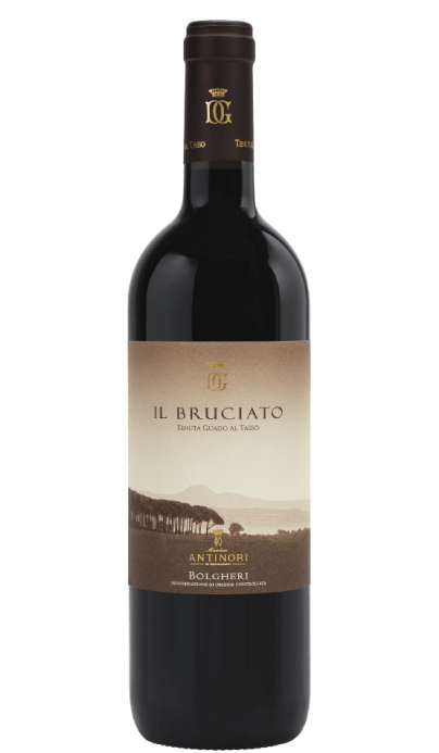 Bruciato Bolgheri 2020