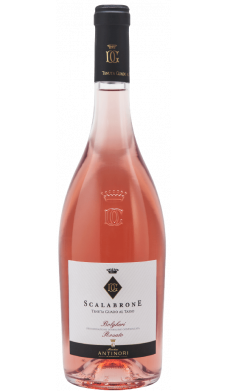 Scalabrone Bolgheri 2021 Scalabrone Bolgheri 2021