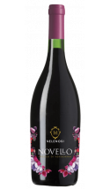 Novello 2024 - vin nouveau italien (Marches)