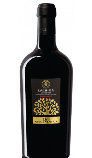 Querciantica Lacrima di Morro superiore