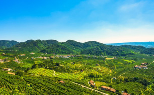 Quelles sont les particularités des appellations des vins en Vénétie ?