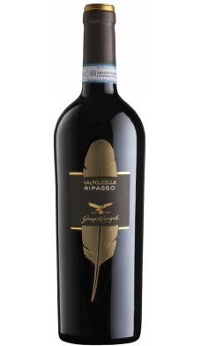 Piuma Ripasso Della Valpolicella Superiore - vin rouge italien (Vénétie) Piuma Ripasso Della Valpolicella Superiore - vin rouge italien (Vénétie)