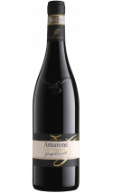 Amarone della Valpolicella - Italiaanse rode wijn (Veneto)