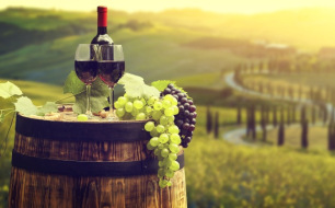 Vins de Toscane : particularités des grandes appellations