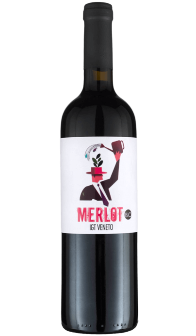 Merlot bio & vegan - vin rouge italien (Vénétie)