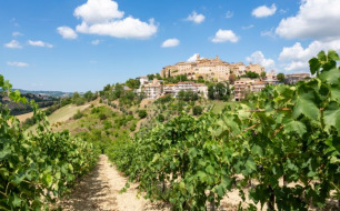 Quelles sont les spécificités de l’appellation Rosso Piceno parmi les vins des Marches ?