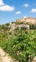Quelles sont les spécificités de l’appellation Rosso Piceno parmi les vins des Marches ?