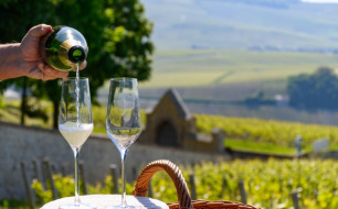 Vins italiens pétillants : les incontournables et leurs caractéristiques