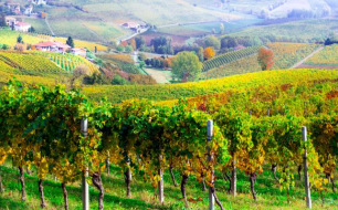 5 appellations de vins italiens issues du Piémont