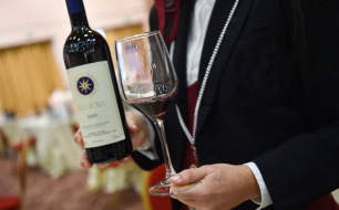 Pourquoi l’appellation Bolgheri Sassicaia DOC est-elle l’une des meilleures au monde ?