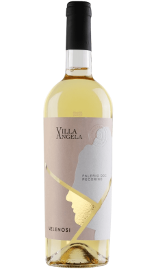 Pecorino Falerio 2024 - vin blanc italien (Marches) Pecorino Falerio 2024 - vin blanc italien (Marches)