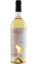 Pecorino Falerio 2023 - vin blanc italien (Marches)