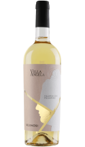 Pecorino Falerio 2024 - vin blanc italien (Marches)